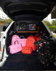 JAMES FIRST CLASS FIRST LADY MINI CHATEAU BACKPACK